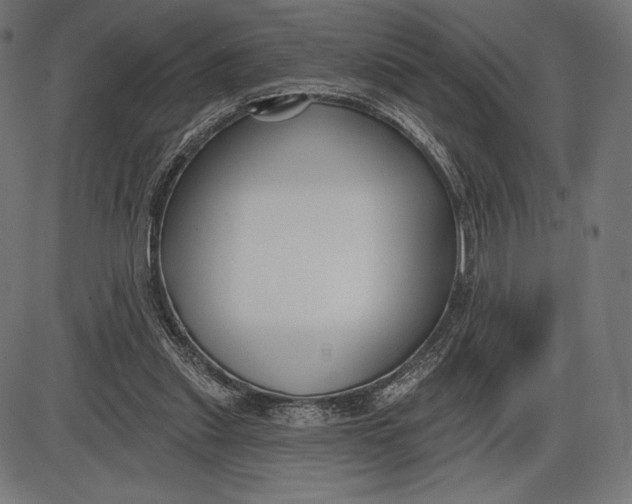 X0000086070253200704091243