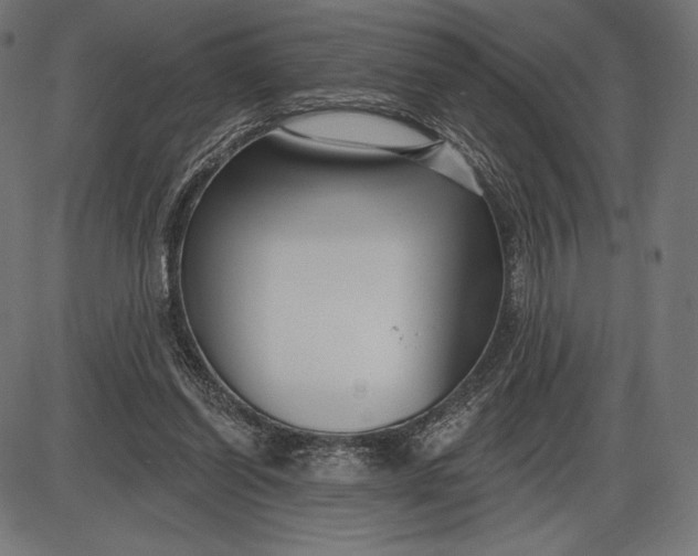 X0000086070254200704091243