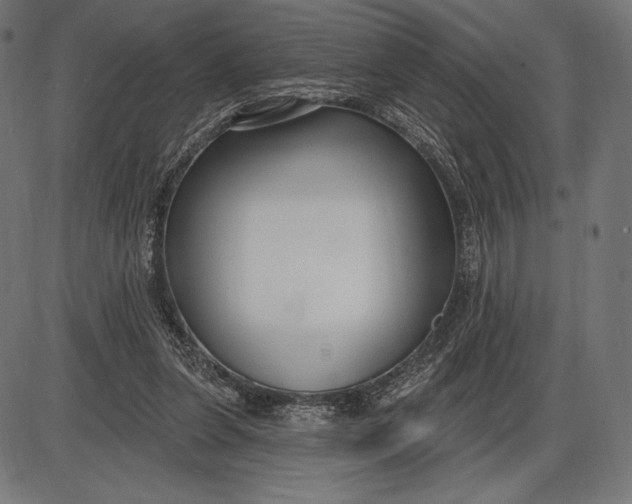 X0000086070255200704091243