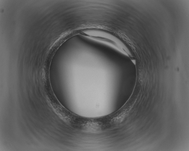 X0000086070256200704091243