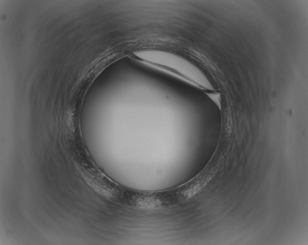 X0000086070258200704091243