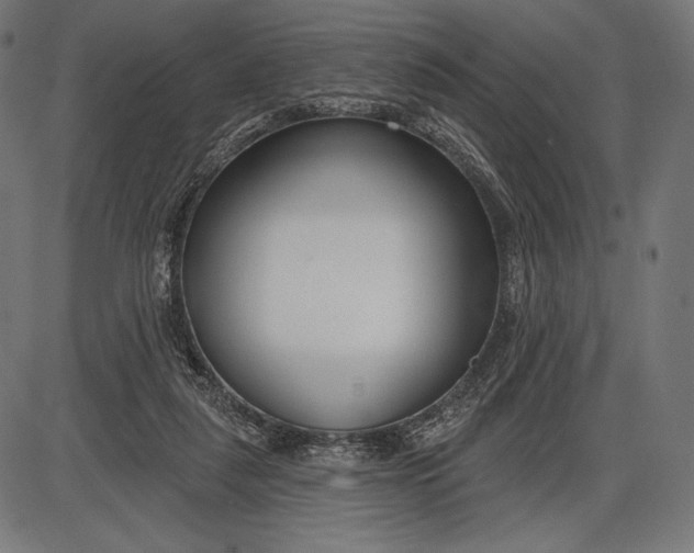 X0000086070259200704091243