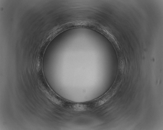 X0000086070261200704091243