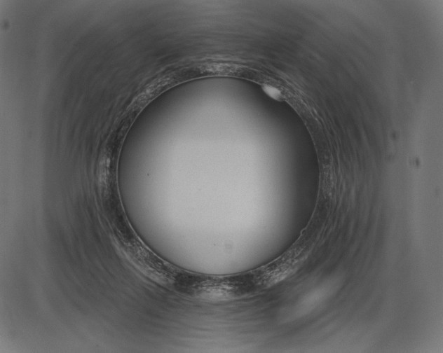 X0000086070263200704091243