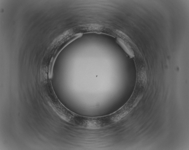 X0000086070264200704091243