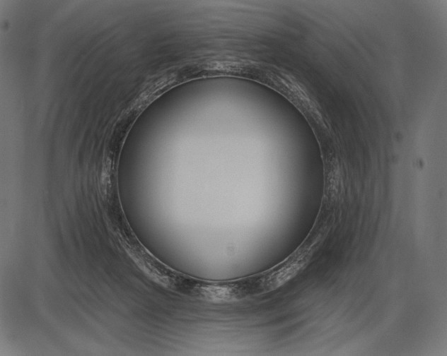 X0000086070265200704091243