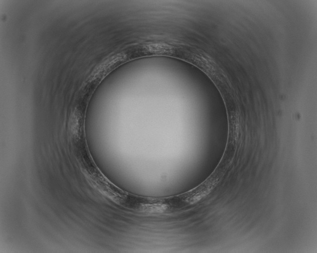 X0000086070266200704091243