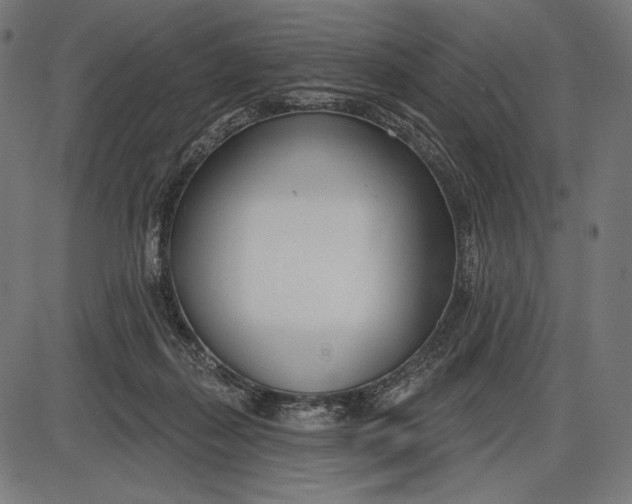 X0000086070267200704091243