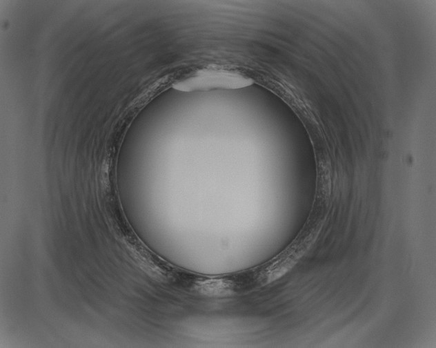 X0000086070269200704091243