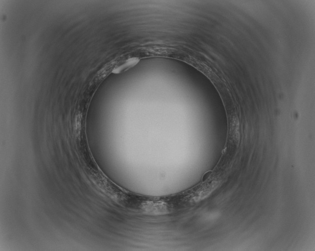 X0000086070271200704091243