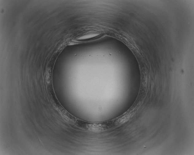 X0000086070273200704091243