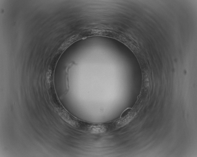 X0000086070275200704091243