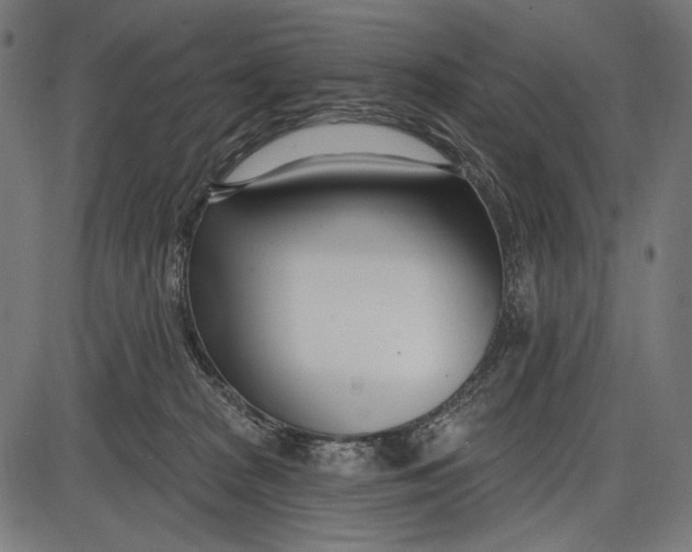 X0000086070277200704091243