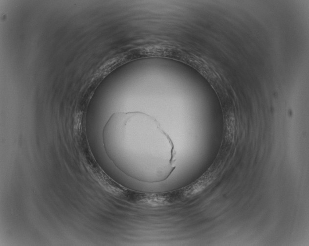 X0000086070278200704091243