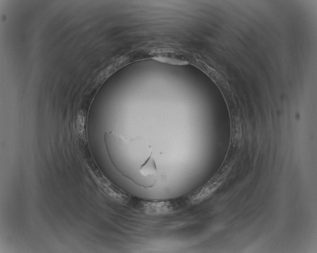 X0000086070281200704091243