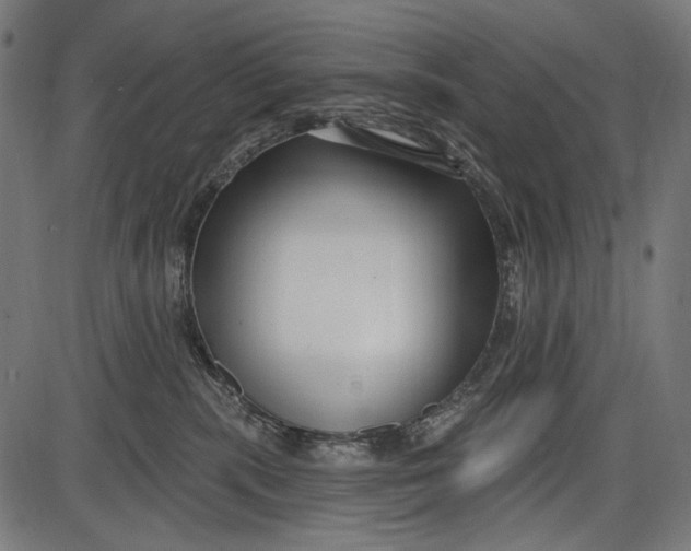 X0000086070283200704091243