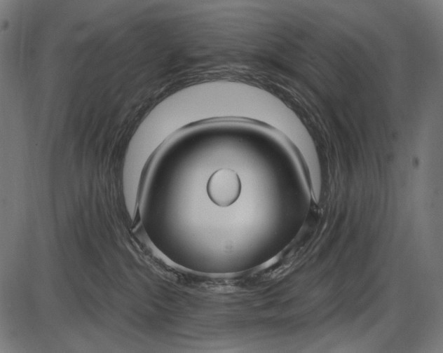 X0000086070284200704091243