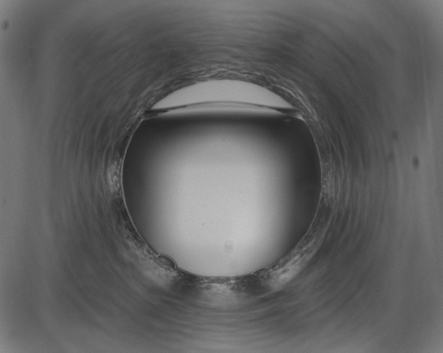 X0000086070285200704091243