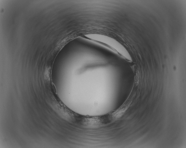 X0000086070286200704091243