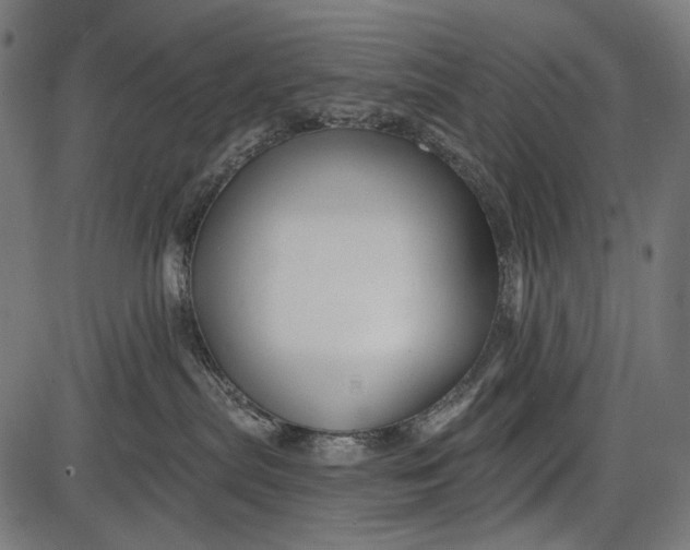X0000086070287200704091243