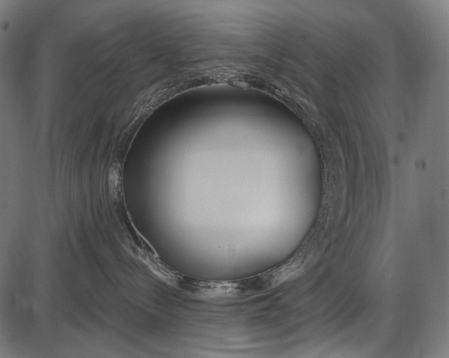 X0000086070288200704091243