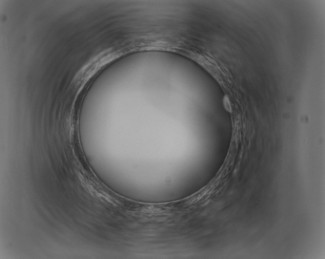 X0000086070290200704091242