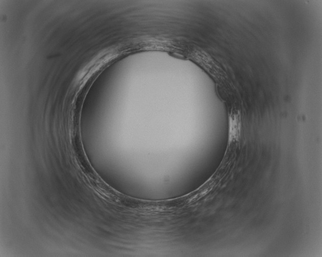 X0000086070291200704091242