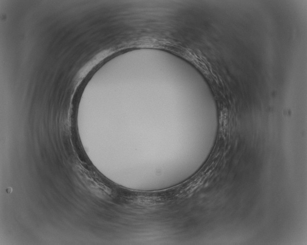X0000086070292200704091242