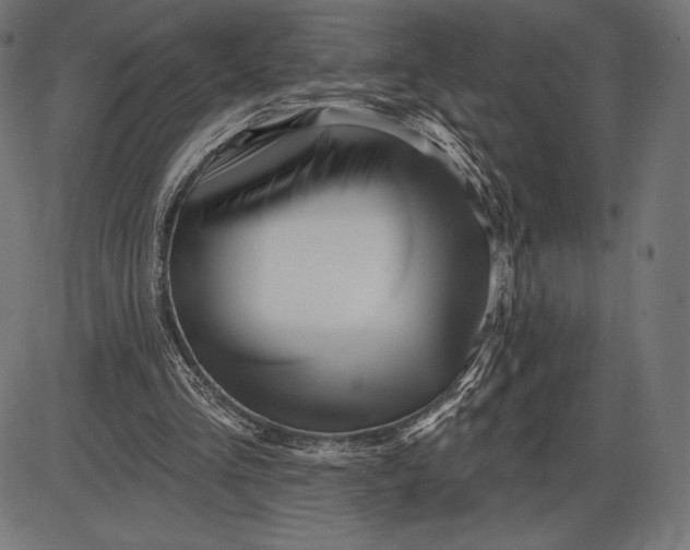 X0000086070293200704091242