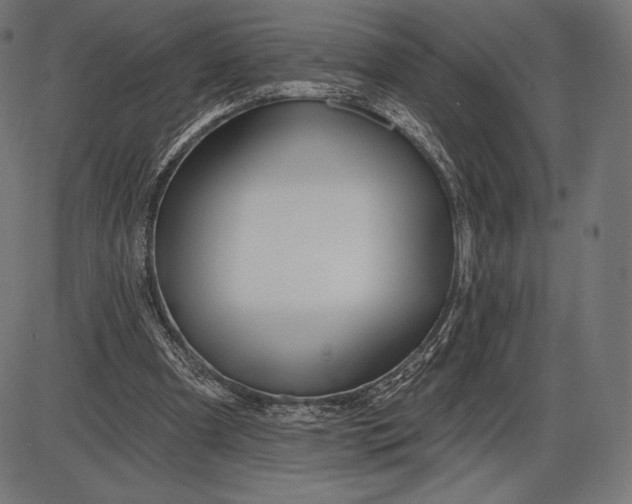 X0000086070297200704091242