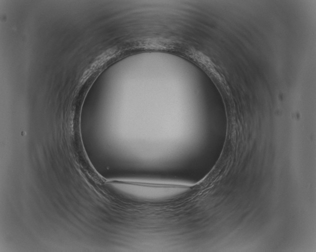 X0000086070299200704091242