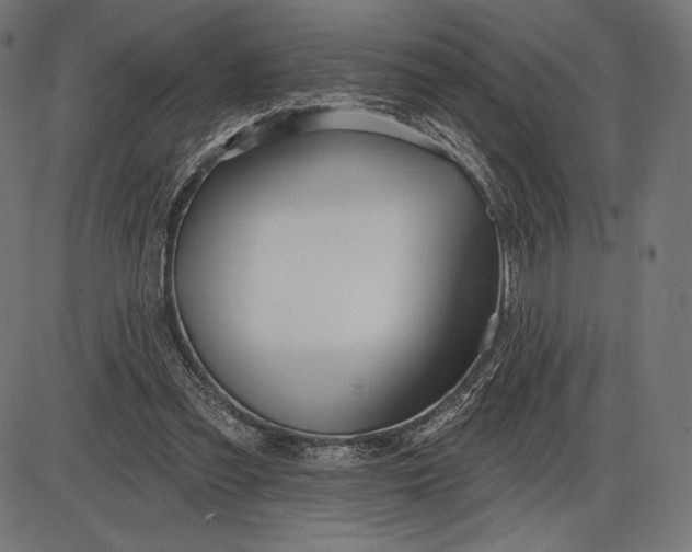 X0000086070301200704091242