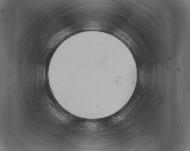 X0000086070302200704091242
