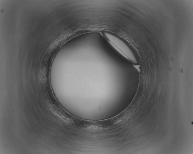X0000086070303200704091242