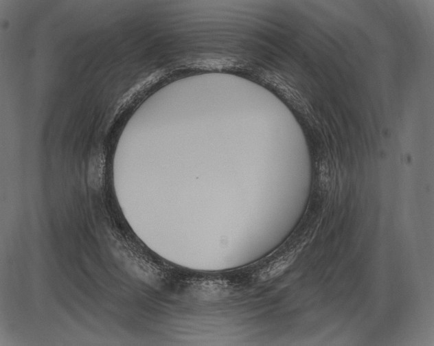 X0000086070304200704091242