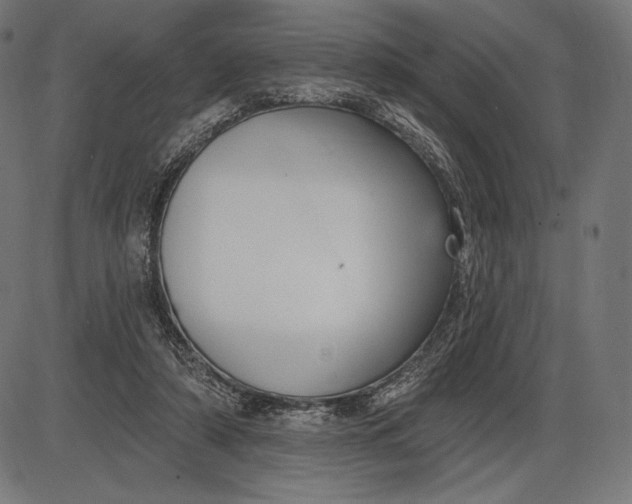 X0000086070306200704091242