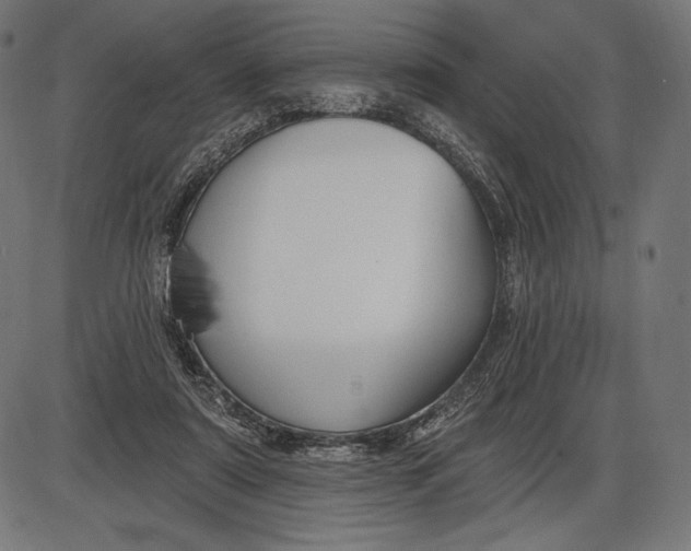 X0000086070307200704091242