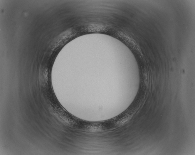 X0000086070308200704091242