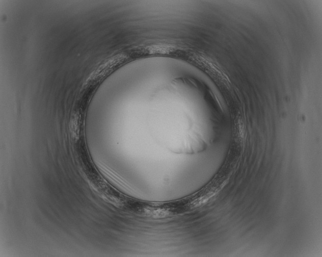X0000086070311200704091242