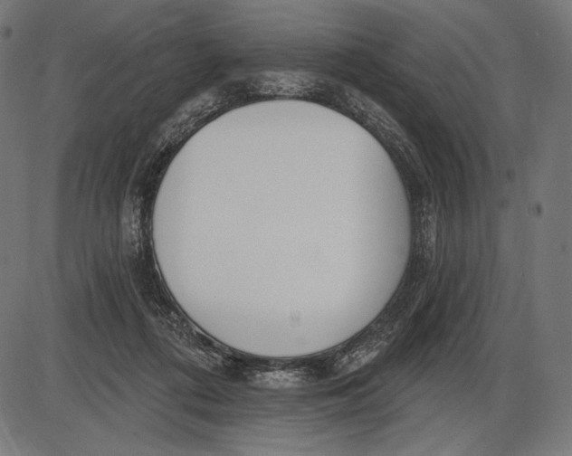 X0000086070312200704091242