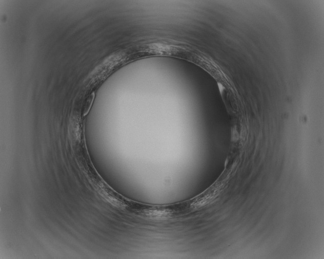 X0000086070313200704091242