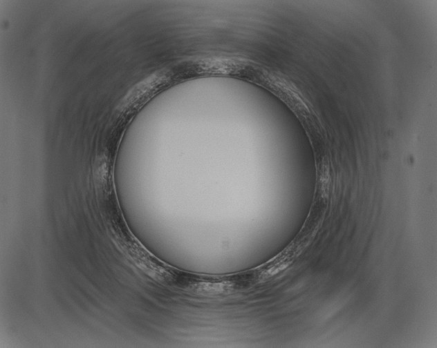 X0000086070314200704091242