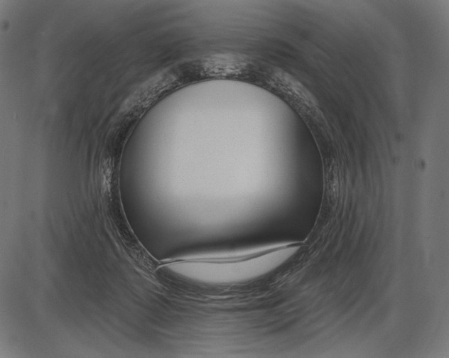 X0000086070315200704091242