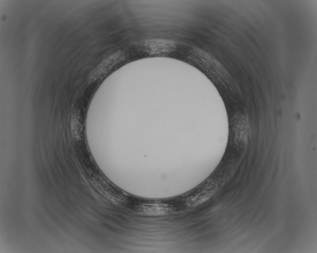 X0000086070316200704091242