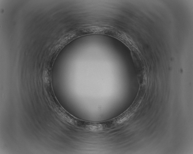 X0000086070317200704091242