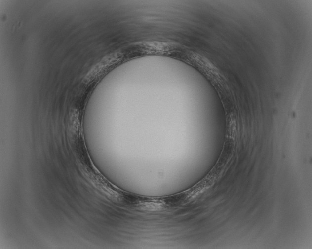 X0000086070318200704091242