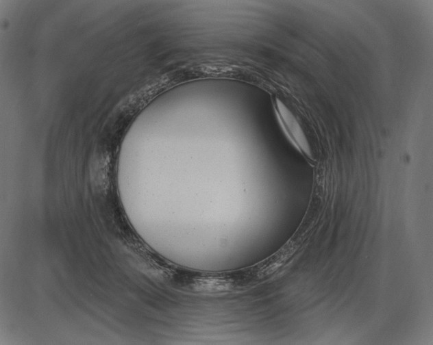 X0000086070319200704091242