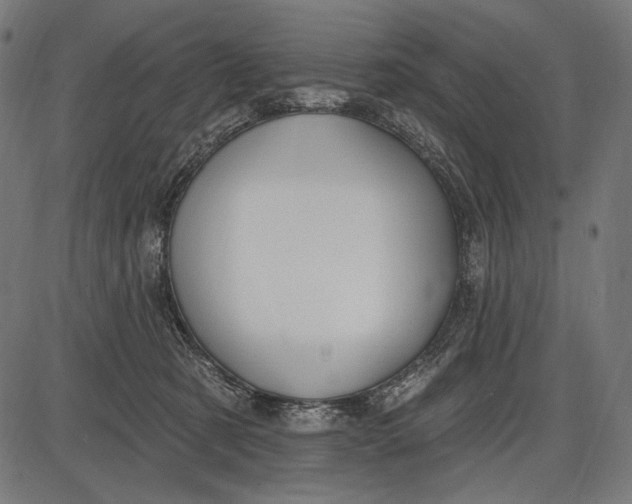X0000086070321200704091242