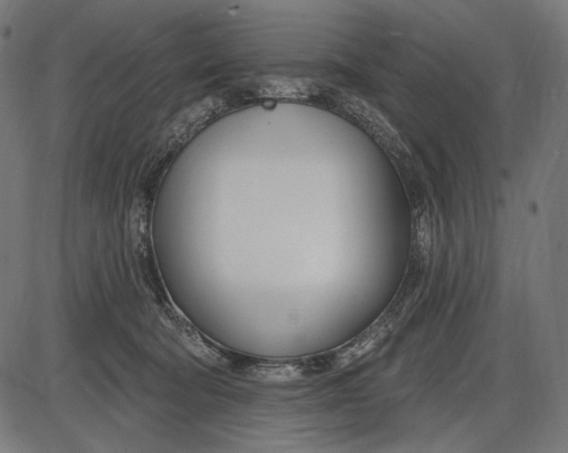 X0000086070322200704091242