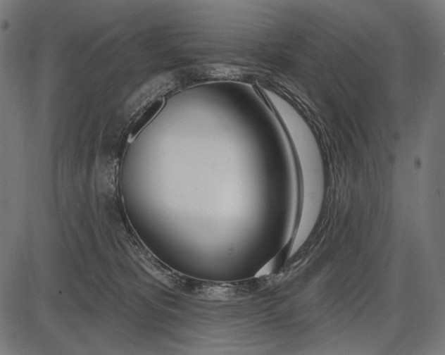 X0000086070325200704091242